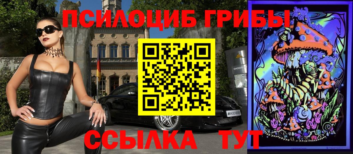 Кызыл  Псилоцибиновые грибы прущие грибы  Вход с VPN  Галлюциногенные грибы прущие грибы 