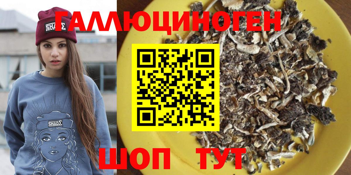 Галлюциногенные грибы Psilocybe Кызыл