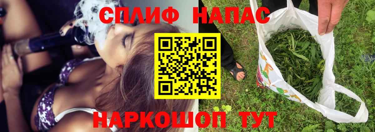Каннабис индика Кызыл